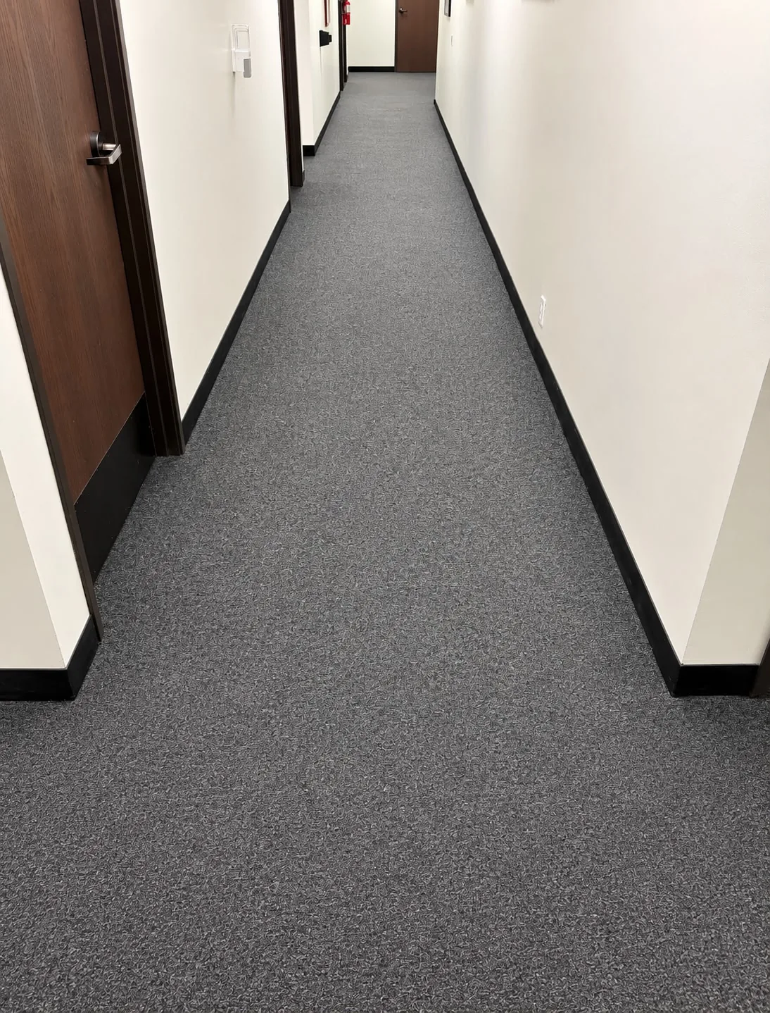 Carpeted hallway after cleaning, fresh and uniform