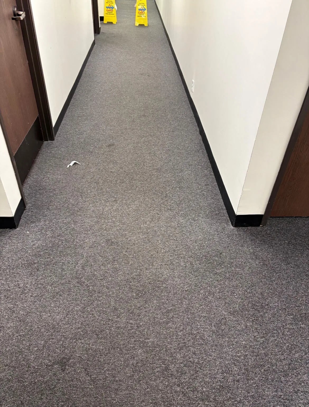 Carpeted hallway before cleaning, soiled traffic lanes